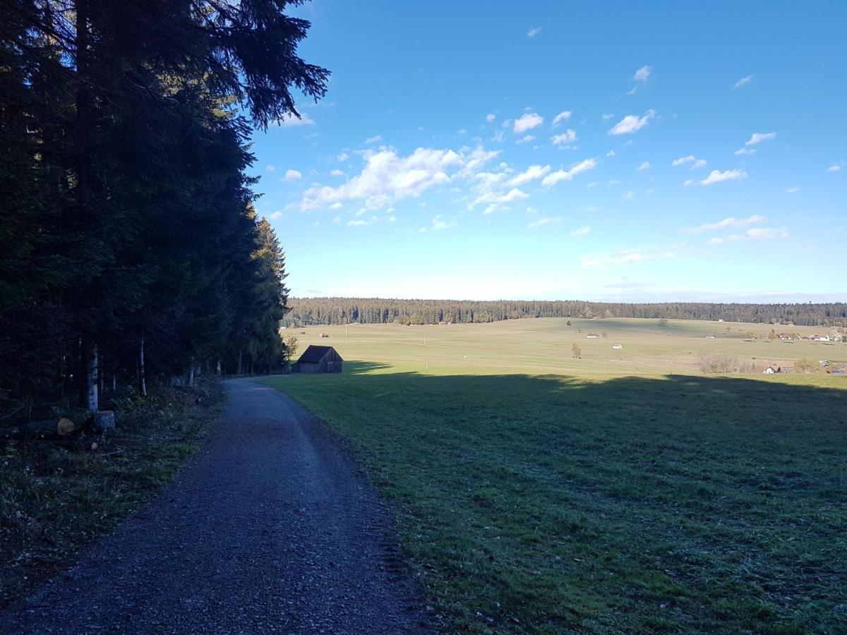 Ferienwohnung Im Schwarzwald Oberwiesenhof Seewald Exteriér fotografie
