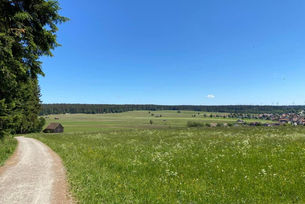 Ferienwohnung Im Schwarzwald Oberwiesenhof Seewald Exteriér fotografie